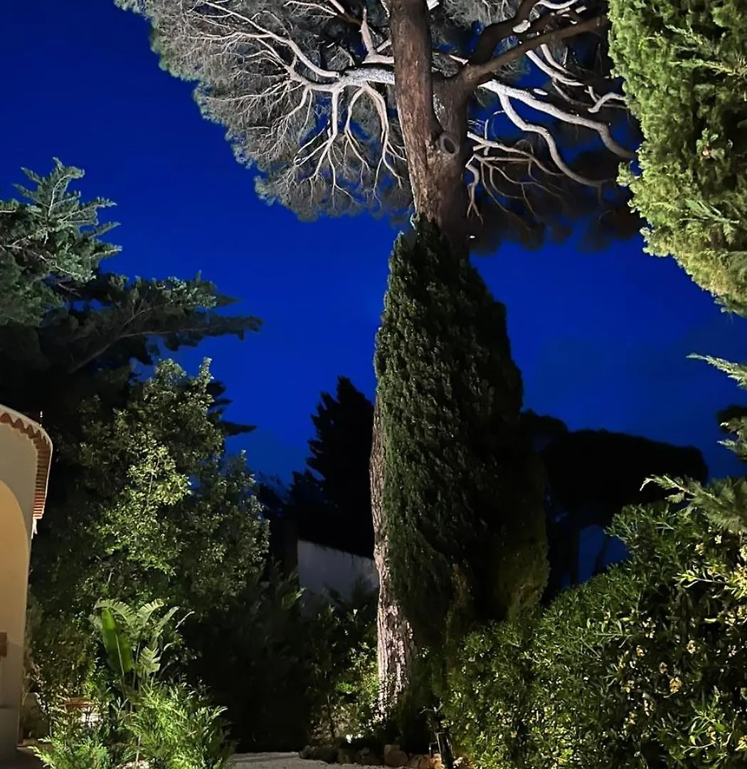 Maison D'Orange - La Pinede Διαμέρισμα Σαιν-Τροπέ